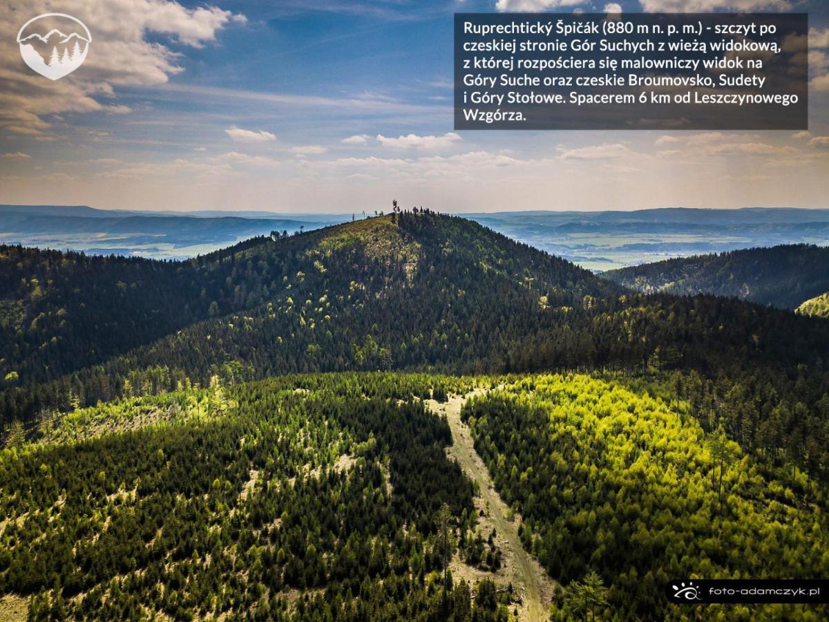 Agroturystyka Leszczynowe Wzgorze Gluszyca Dış mekan fotoğraf
