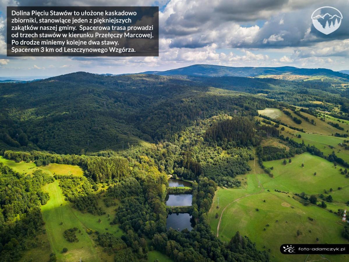 Agroturystyka Leszczynowe Wzgorze Gluszyca Dış mekan fotoğraf