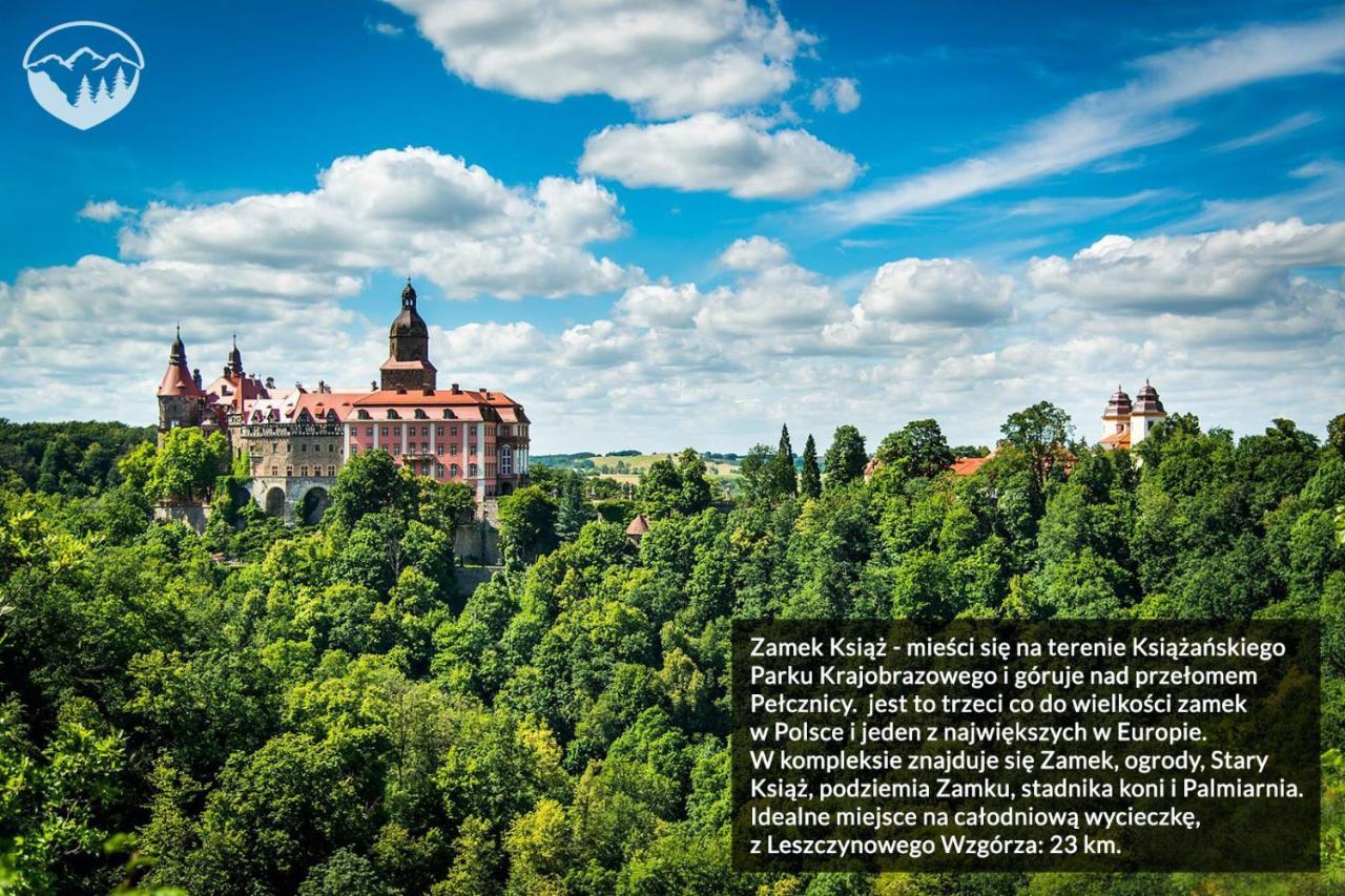 Agroturystyka Leszczynowe Wzgorze Gluszyca Dış mekan fotoğraf