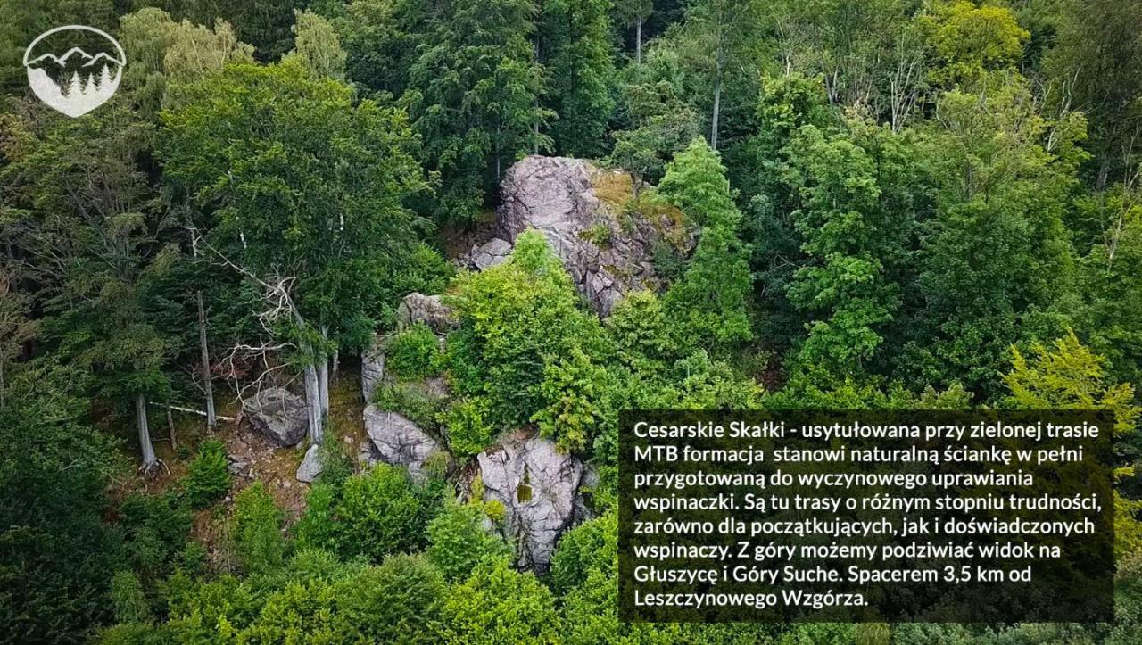 Agroturystyka Leszczynowe Wzgorze Gluszyca Dış mekan fotoğraf