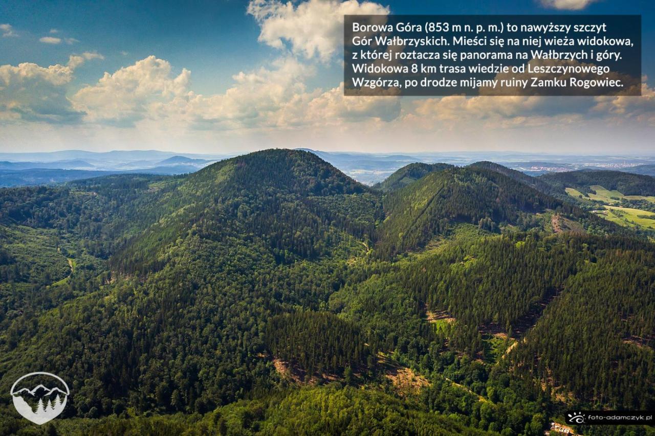 Agroturystyka Leszczynowe Wzgorze Gluszyca Dış mekan fotoğraf